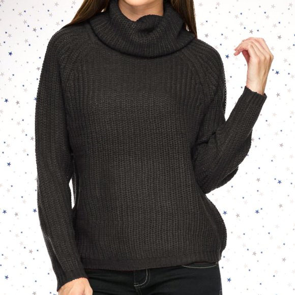 Raglan Long Sleeve Turtle Neck Knit Sweater (Char) - Picture 6 of 7